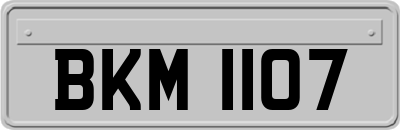 BKM1107