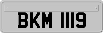 BKM1119