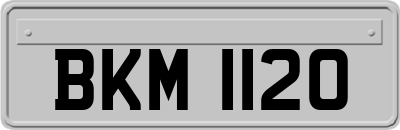 BKM1120