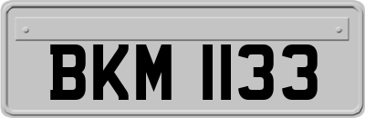 BKM1133
