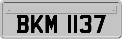BKM1137