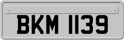 BKM1139