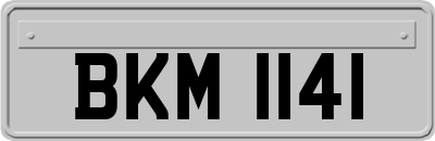 BKM1141