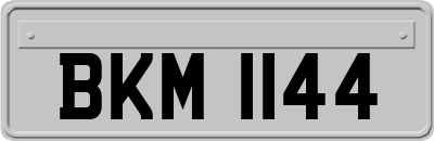 BKM1144