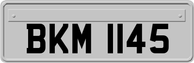 BKM1145