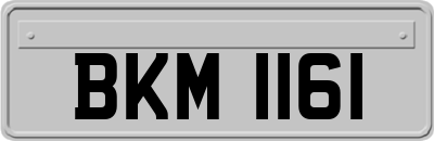 BKM1161