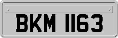 BKM1163