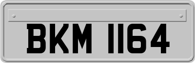 BKM1164