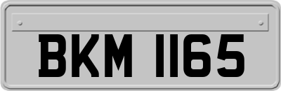 BKM1165