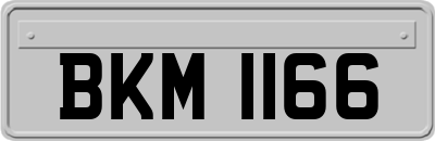 BKM1166