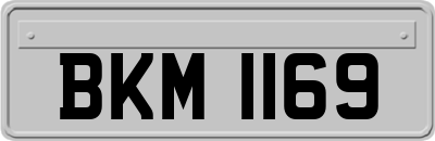 BKM1169