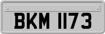 BKM1173