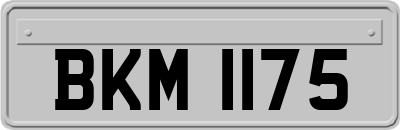 BKM1175