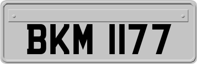 BKM1177