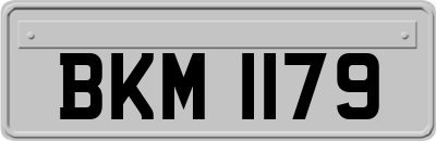 BKM1179