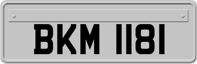 BKM1181
