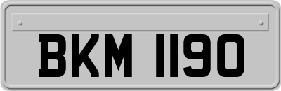 BKM1190