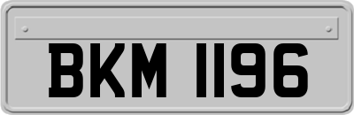BKM1196