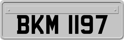 BKM1197