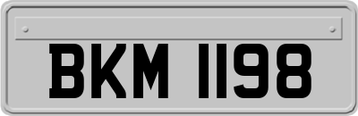 BKM1198