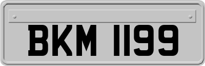 BKM1199