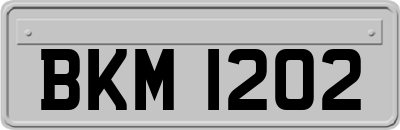 BKM1202