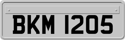 BKM1205