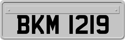 BKM1219