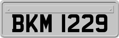BKM1229