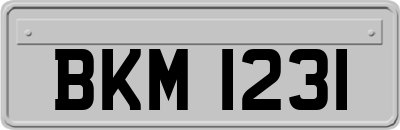 BKM1231