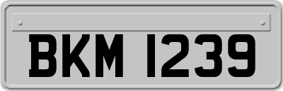 BKM1239