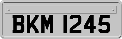 BKM1245