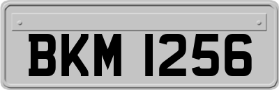 BKM1256