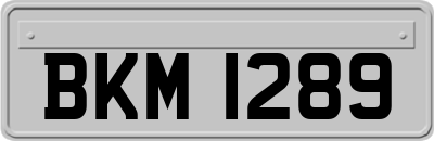 BKM1289