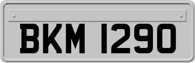 BKM1290