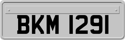 BKM1291