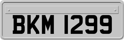 BKM1299