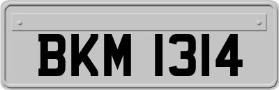 BKM1314