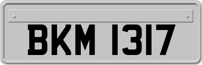 BKM1317