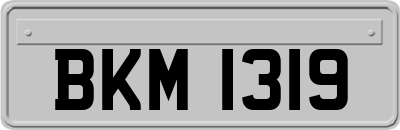 BKM1319