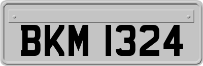 BKM1324