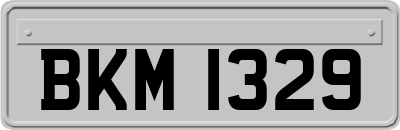 BKM1329