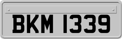 BKM1339