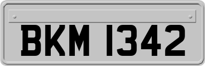 BKM1342