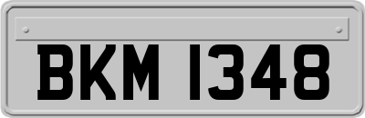 BKM1348