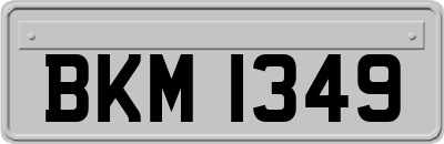 BKM1349