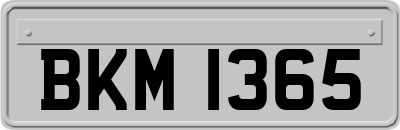 BKM1365