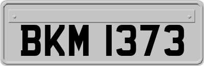 BKM1373