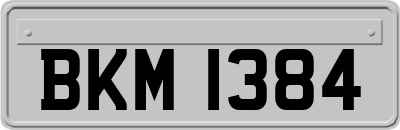 BKM1384