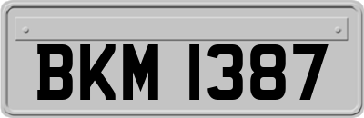 BKM1387